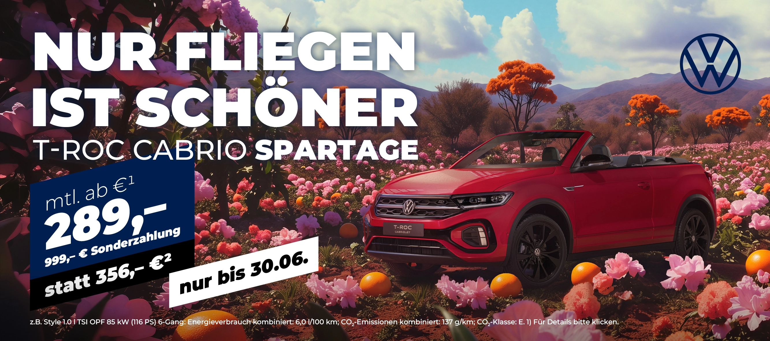 T-Roc Cabrio Spezi Leasing