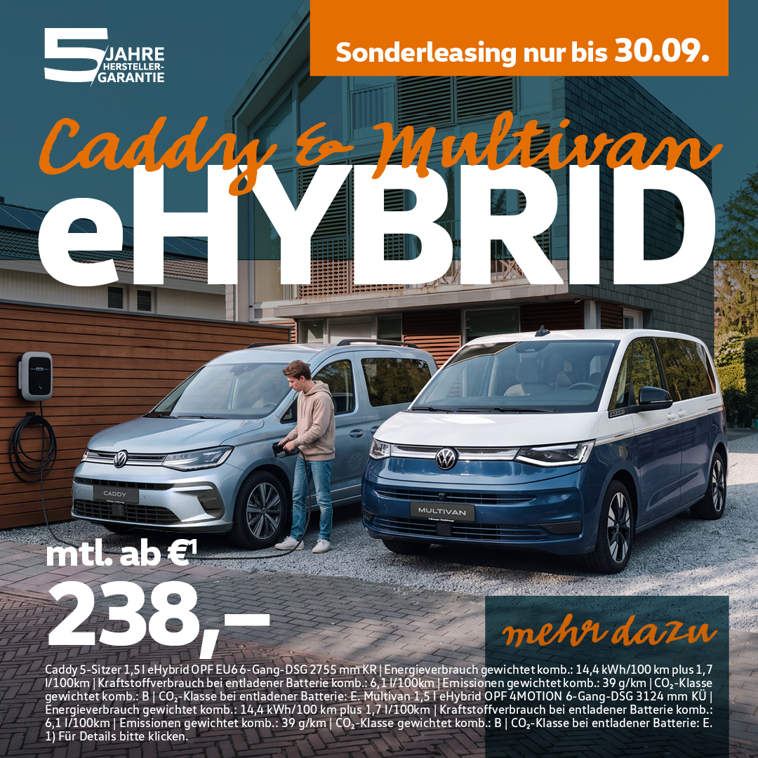 BB Multivan + Caddy eHybrid BB Multivan + Caddy eHybrid