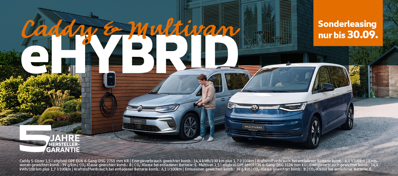 HD Multivan + Caddy eHybrid HD Multivan + Caddy eHybrid